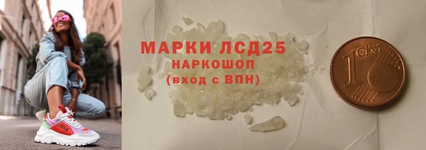 индика Богородск