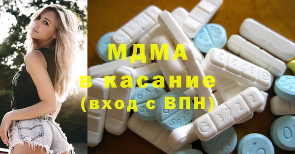 индика Богородск