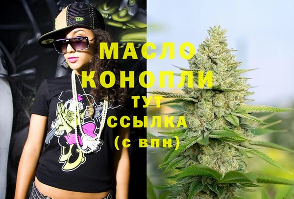 индика Богородск