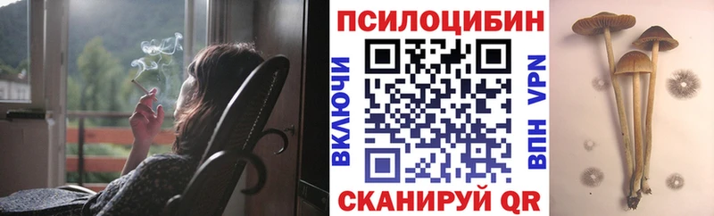 дарнет шоп  Светогорск  Псилоцибиновые грибы MAGIC MUSHROOMS 